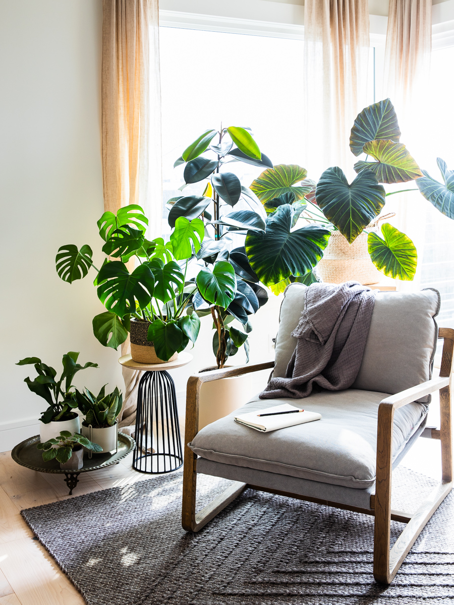 Ch3_PlantGrouping_0020