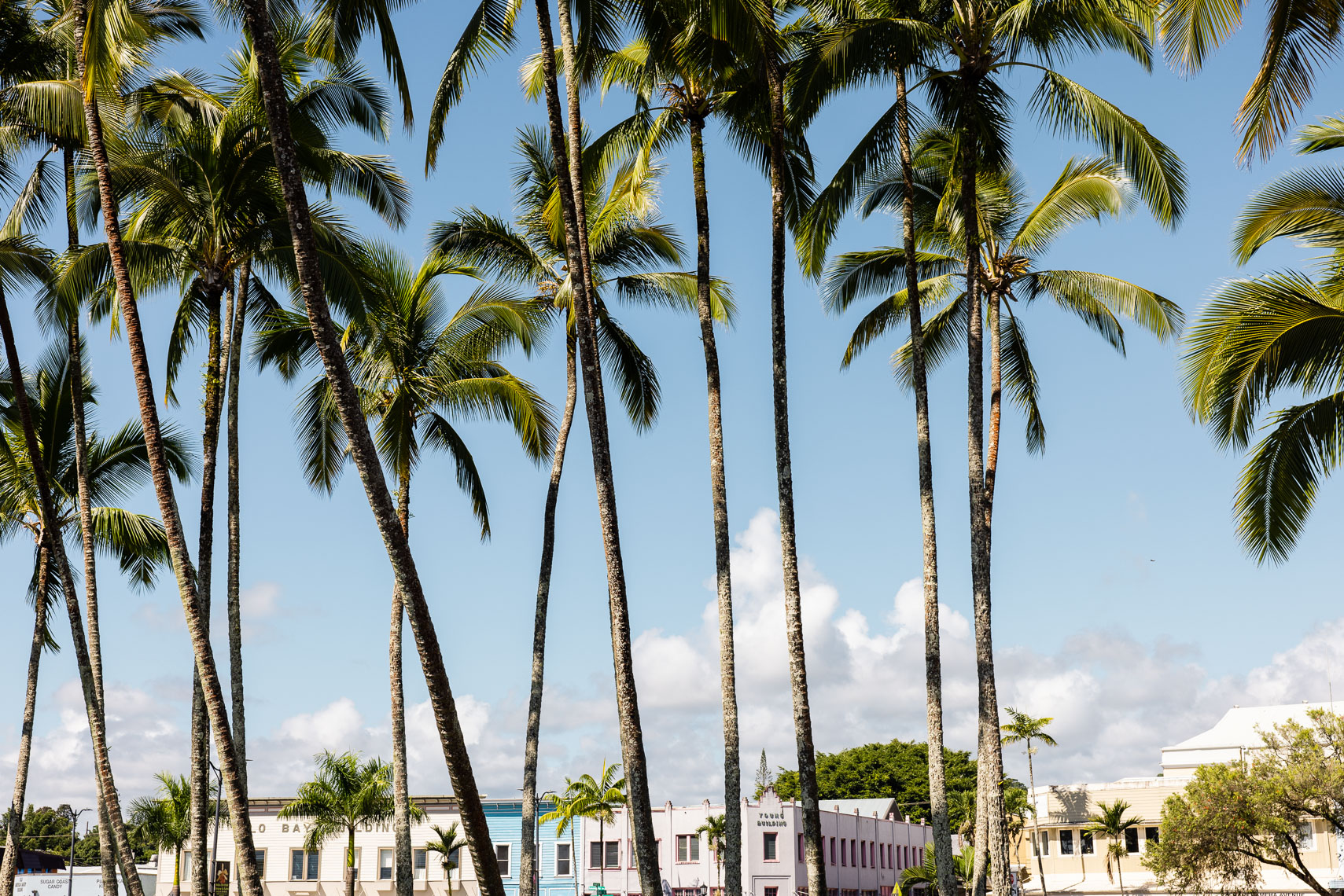 EK_BigIsland_Hilo_0471
