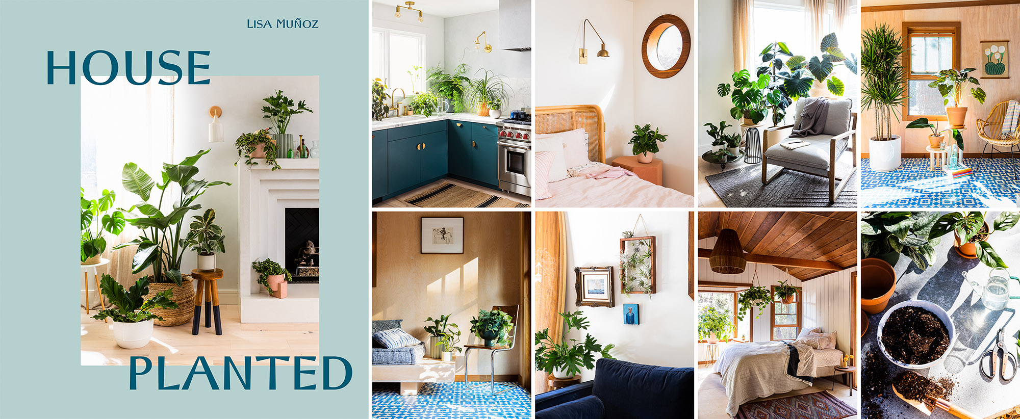 HousePlantedCover2