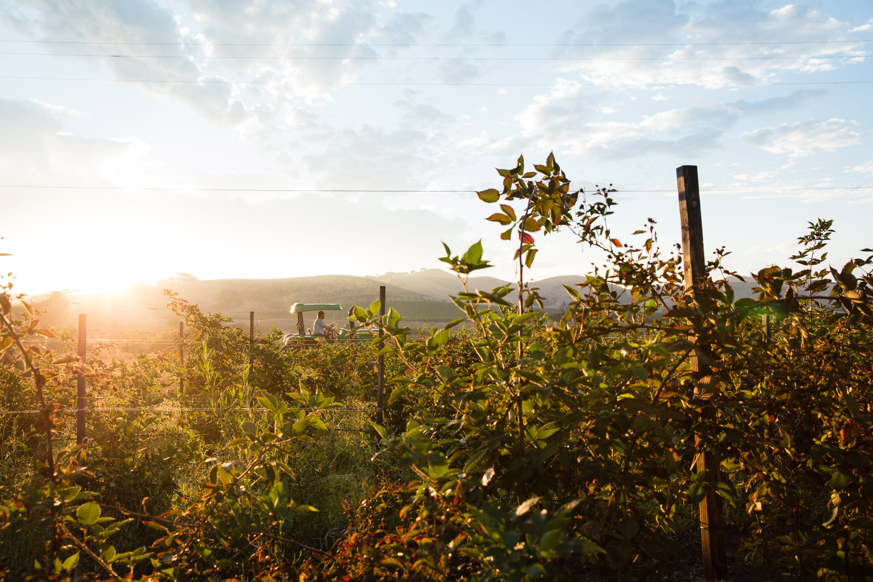 RPS_AppleCreekRanch_Scenics_2540